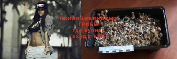 дживик Баксан