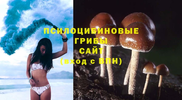 дживик Баксан