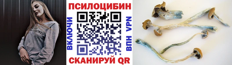 даркнет сайт KRAKEN как зайти Галлюциногенные грибы Psilocybe Серов